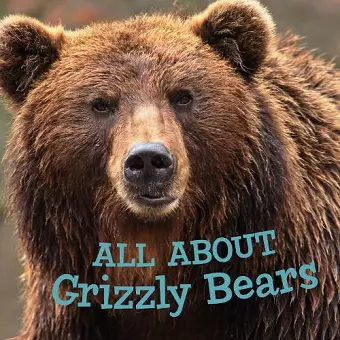 All about Grizzly Bears cover