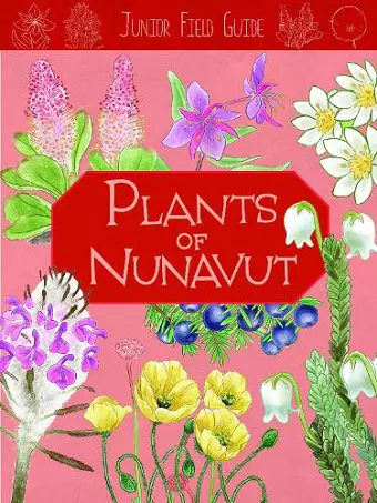 Junior Field Guide: Plants of Nunavut cover