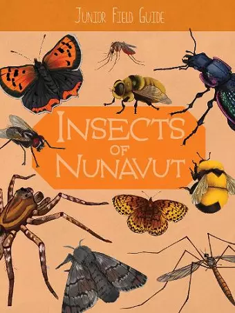 Junior Field Guide: Insects of Nunavut cover