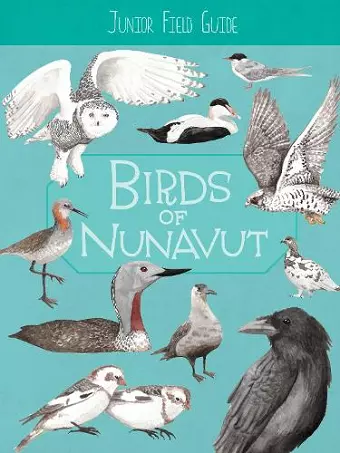 Junior Field Guide: Birds of Nunavut cover