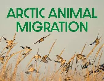Arctic Animal Migration cover