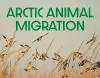 Arctic Animal Migration cover