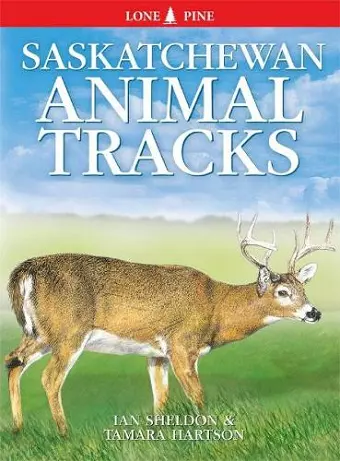 Saskatchewan Animal Tracks cover