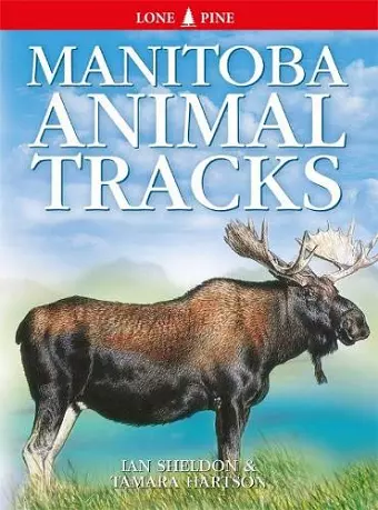 Manitoba Animal Tracks cover