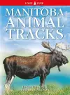 Manitoba Animal Tracks cover