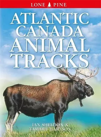 Atlantic Canada Animal Tracks cover