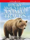 Rocky Mountain Animal Tracks cover