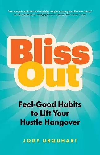 Bliss Out cover