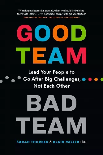 Good Team, Bad Team cover