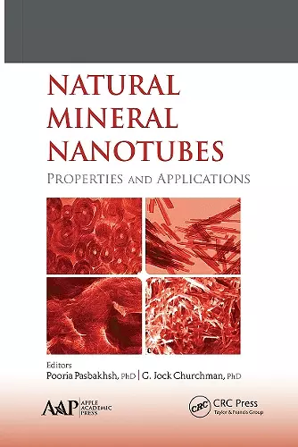 Natural Mineral Nanotubes cover