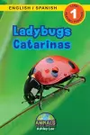 Ladybugs / Catarinas cover