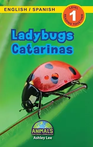 Ladybugs / Catarinas cover