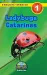 Ladybugs / Catarinas cover