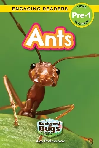 Ants cover