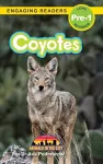 Coyotes cover