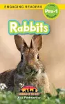 Rabbits cover