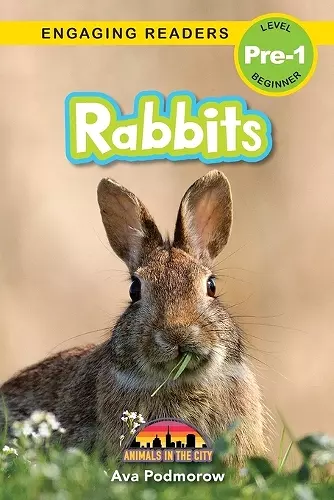 Rabbits cover