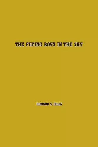 The Flying Boys in the Sky cover