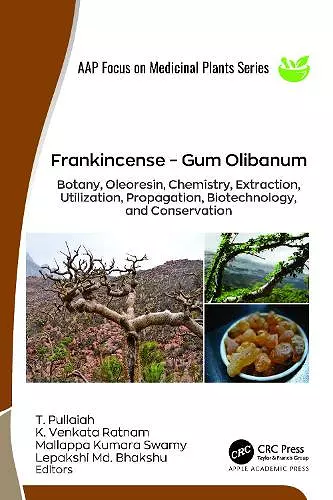 Frankincense – Gum Olibanum cover