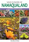 Wild Flowers of Namaqualand (PVC) cover