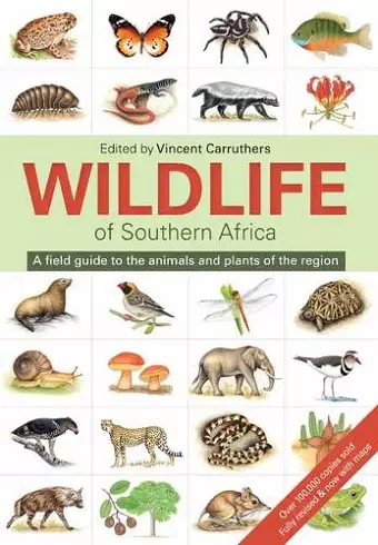 The Wildlife of Southern Africa cover
