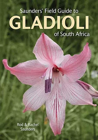 Saunders’ Field Guide to Gladioli of South Africa cover