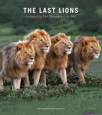 The Last Lions cover