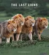 The Last Lions cover