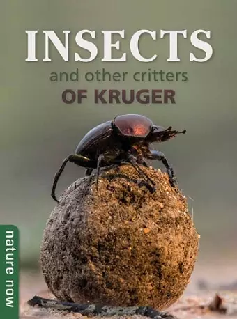 Insects and other Critters of Kruger cover