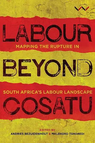 Labour Beyond Cosatu cover