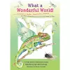 What A Wonderful World cover