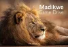 Madikwe Game Reserve cover