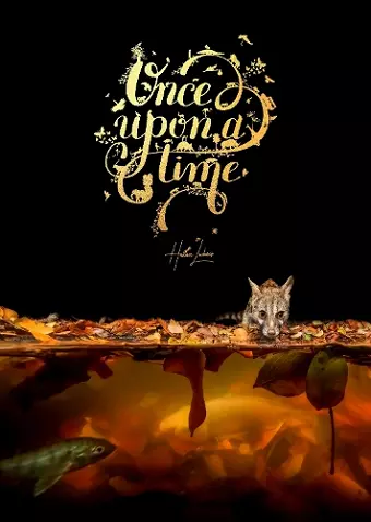 Once Upon a Time cover