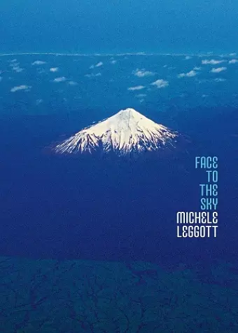 Face to the Sky cover