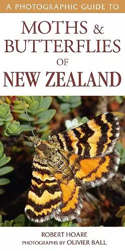 A Photographic Guide to Moths & Butterfies of New Zealand cover