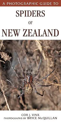 A Photographic Guide to Spiders of New Zealand cover