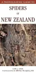A Photographic Guide to Spiders of New Zealand cover