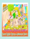 Minako and Delightful Rolleen's Bunny Rabbit Rescue Adventure Book 2 cover