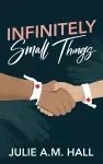 Infinitely Small Things cover