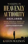 From Natural Sight To Supernatural Insight 从自然观点到超自然洞察 cover