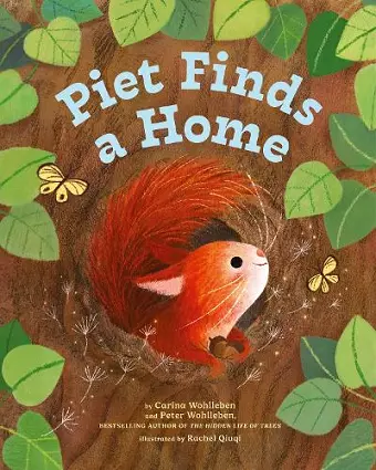 Piet Finds A Home cover