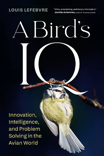 A Bird's IQ cover