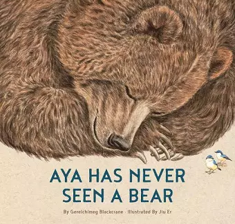 Aya Has Never Seen a Bear cover