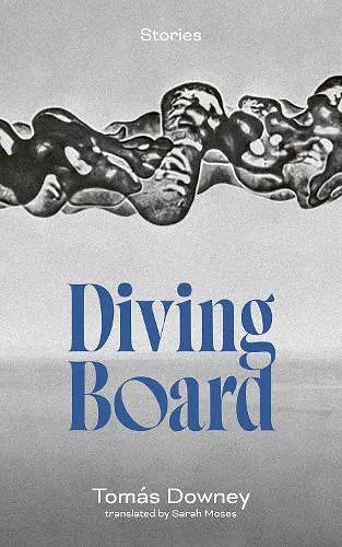 Diving Board cover