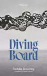 Diving Board cover
