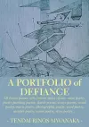 A Portfolio of Defiance cover