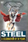 Steel: A Celebration of 30 Years cover