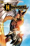 Hawkgirl: Once Upon a Galaxy cover