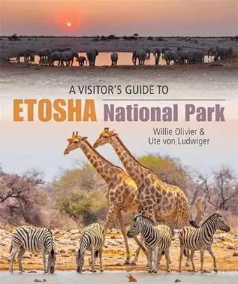 A Visitor’s Guide to Etosha National Park cover