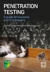 Penetration Testing cover